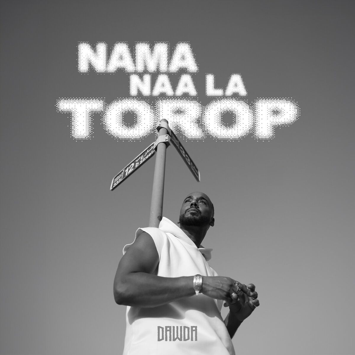 Album cover of Nama naa la torop