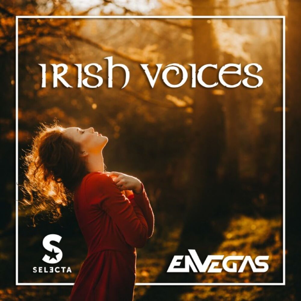 Picture of Irish Voices