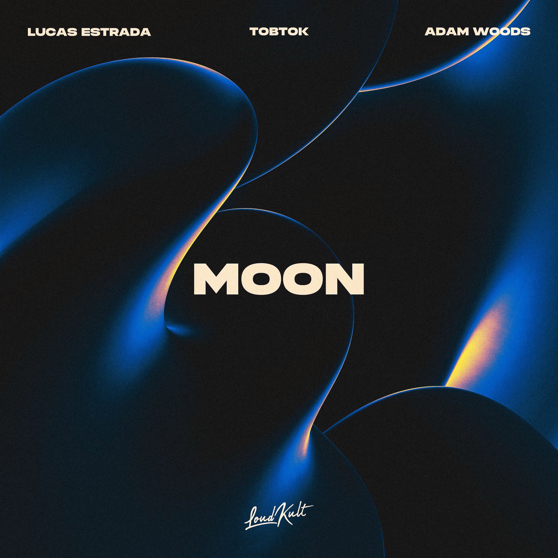Album cover of Moon (feat. Adam Woods)