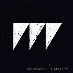 Cover of The Next Level