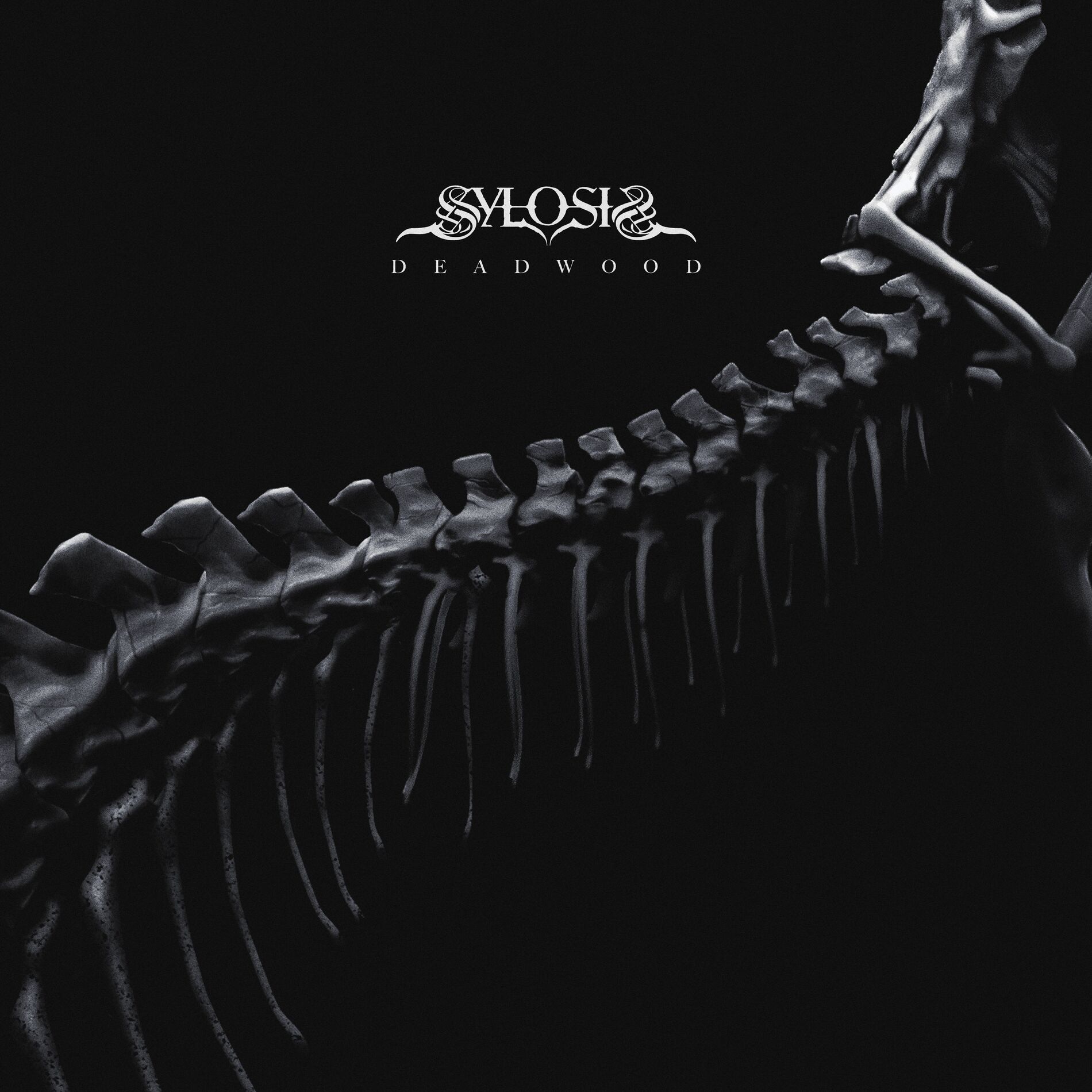Album cover of Deadwood