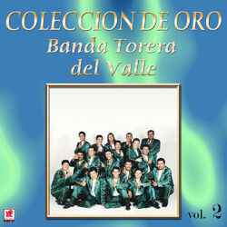 Cover of Colección de Oro, Vol. 2