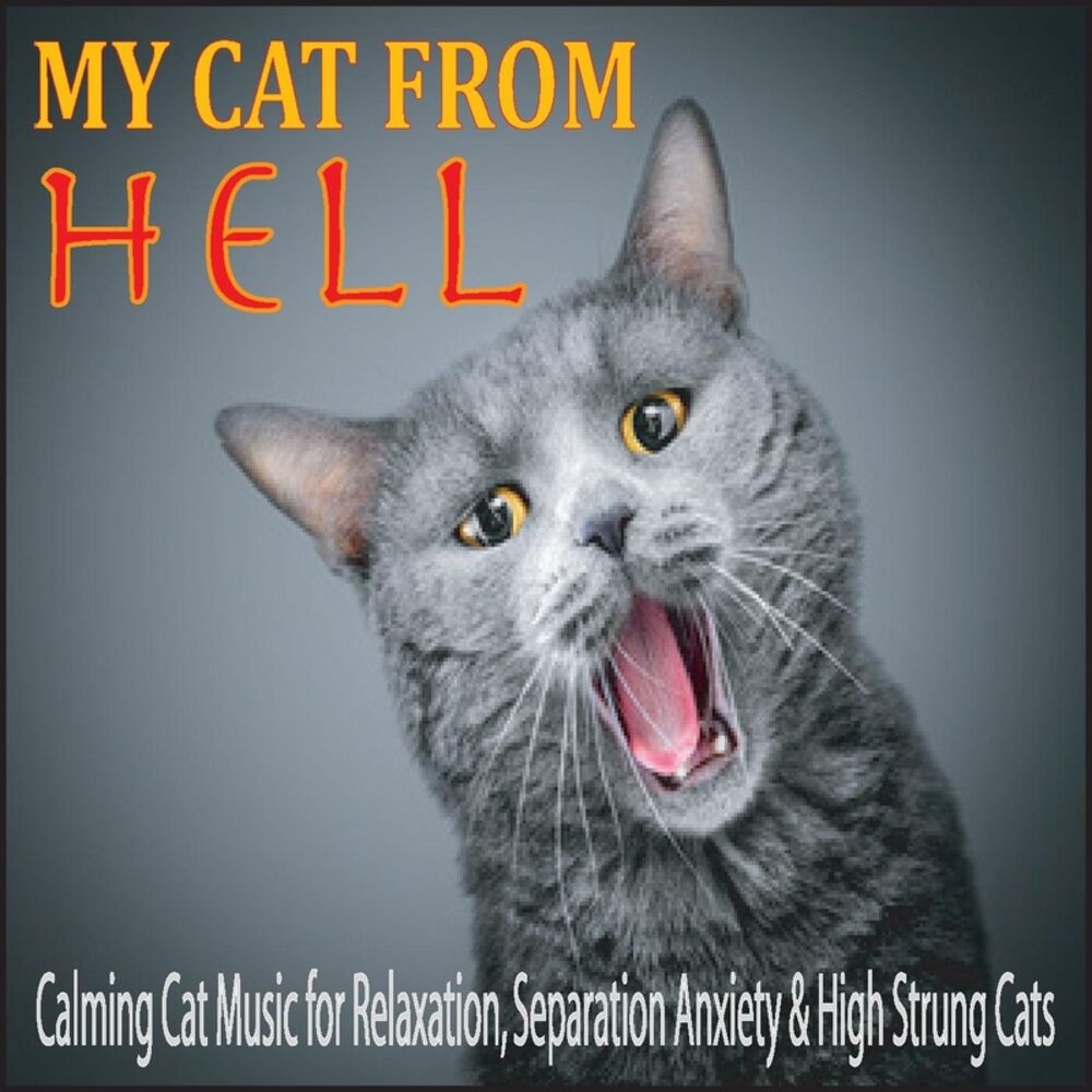 Picture of My Cat from Hell: Calming Cat Music for Relaxation, Separation Anxiety & High Strung Cats