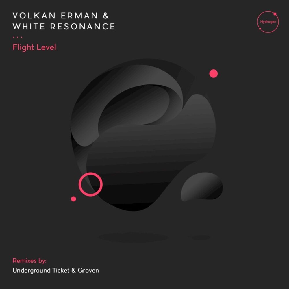 Picture of Flight Level