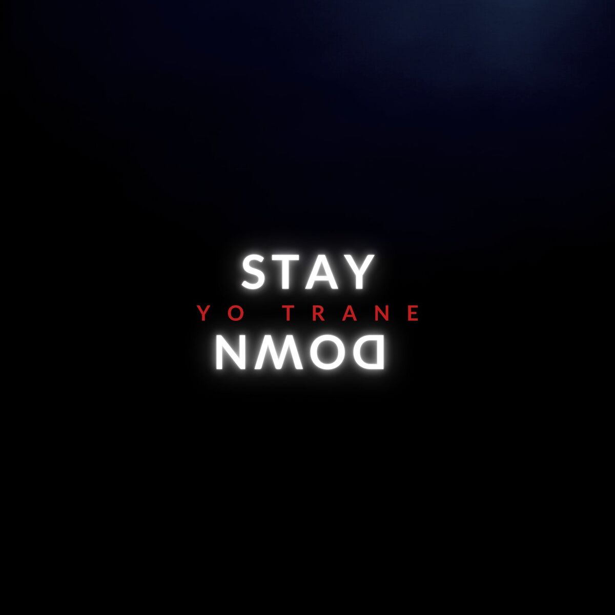 Album cover of Stay Down