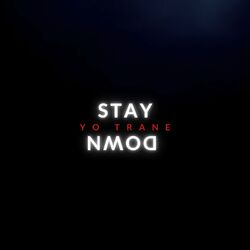 Cover of Stay Down