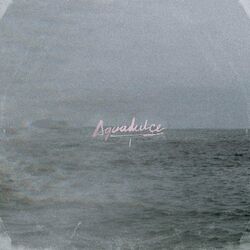 Cover of Aguadulce I
