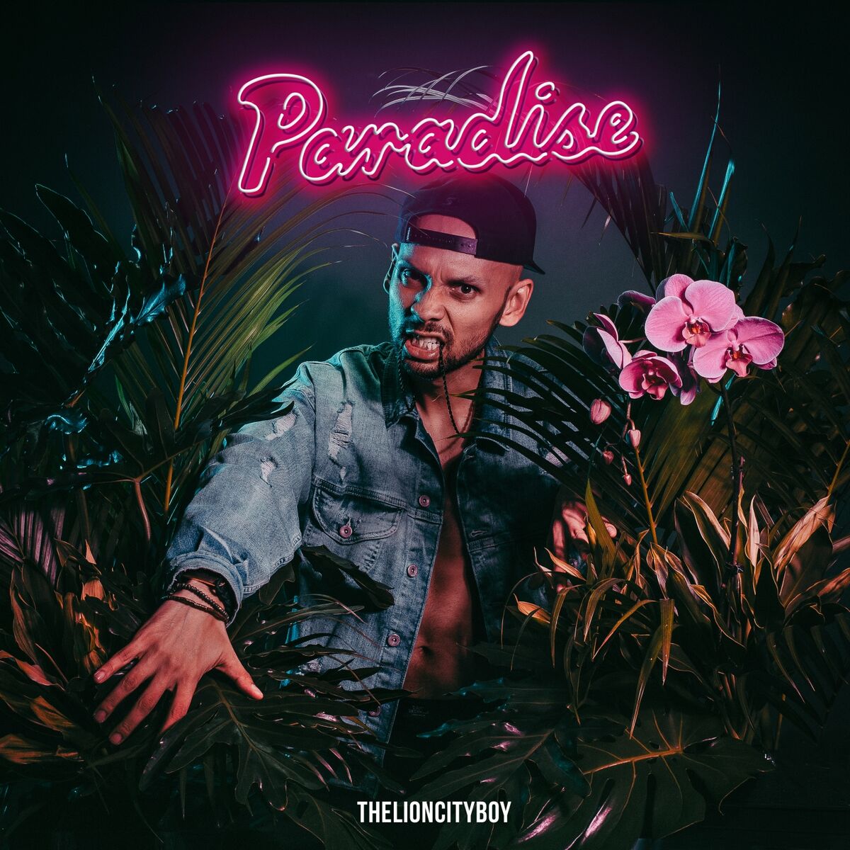 Album cover of Paradise