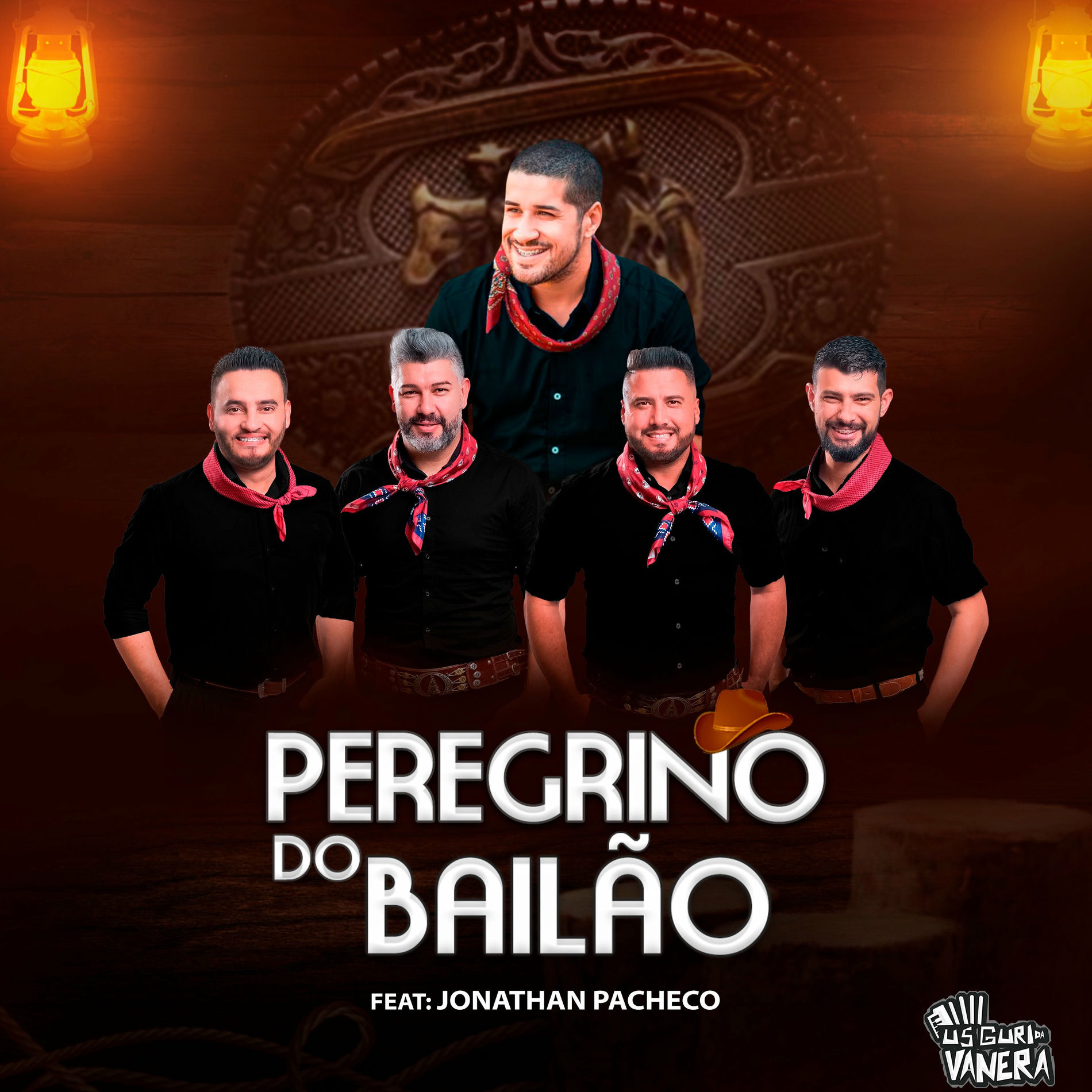 Album cover of Peregrino do Bailão