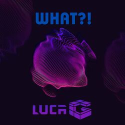 Cover of What?!