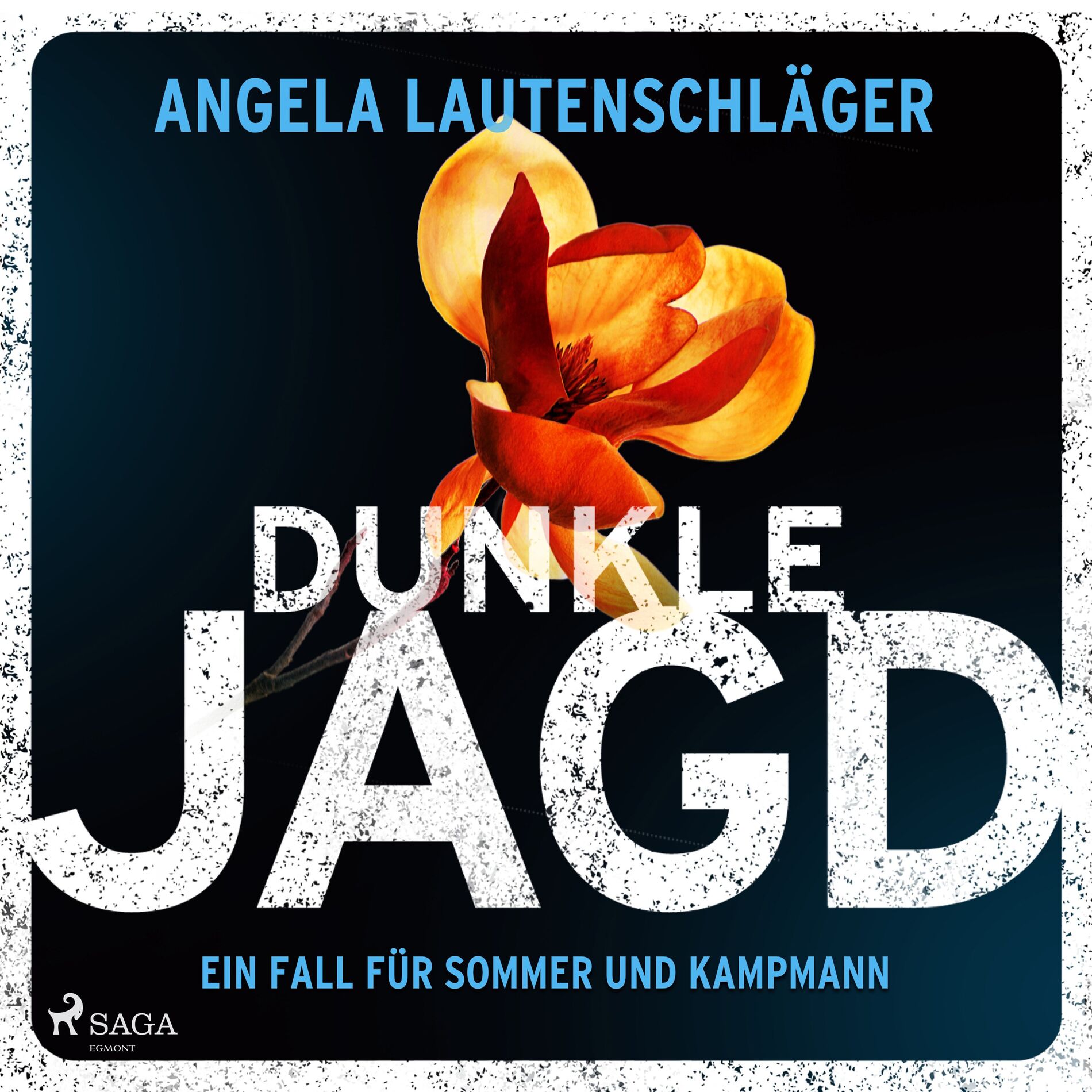Album cover of Kapitel 01 - Dunkle Jagd