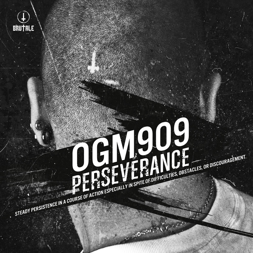 Picture of Perseverance