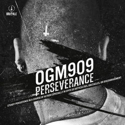 Cover of Perseverance