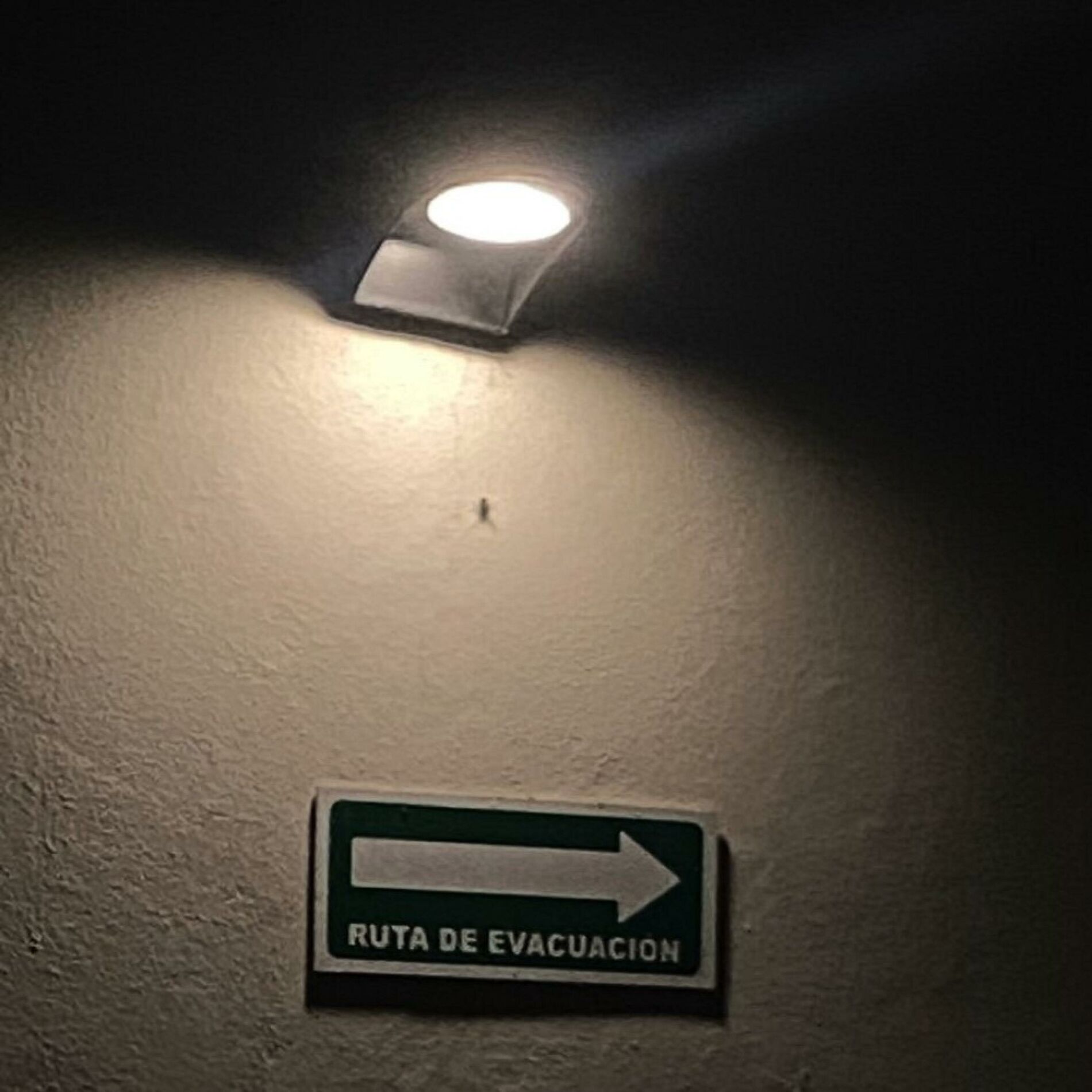 Album cover of no pudo ser