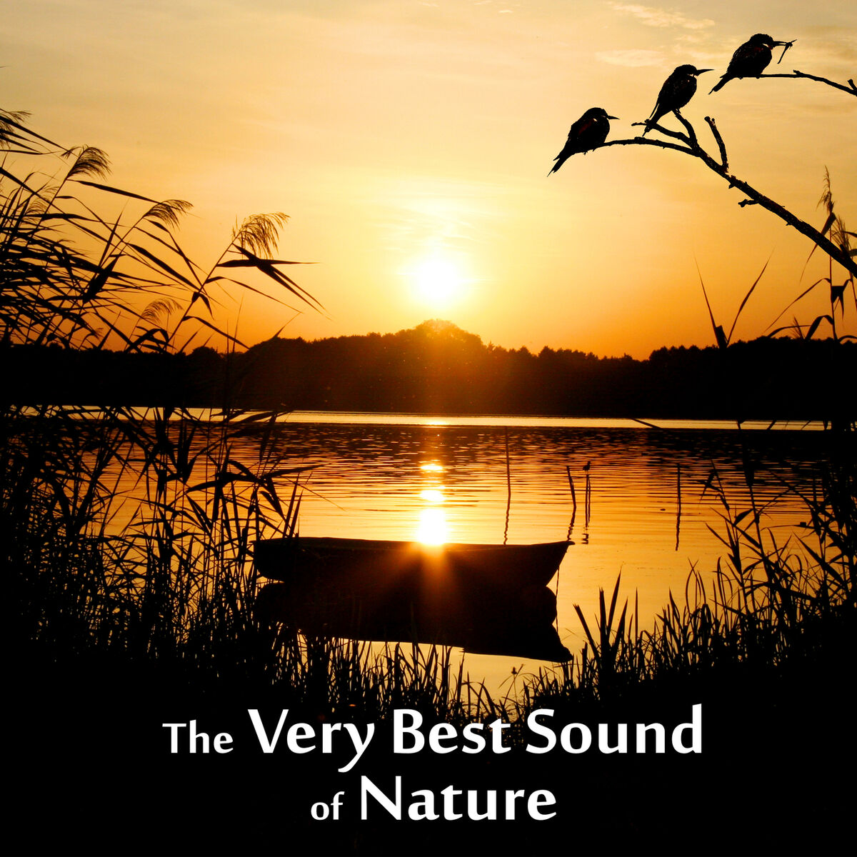 Album cover of Easy Feeling (Music and Meditation)