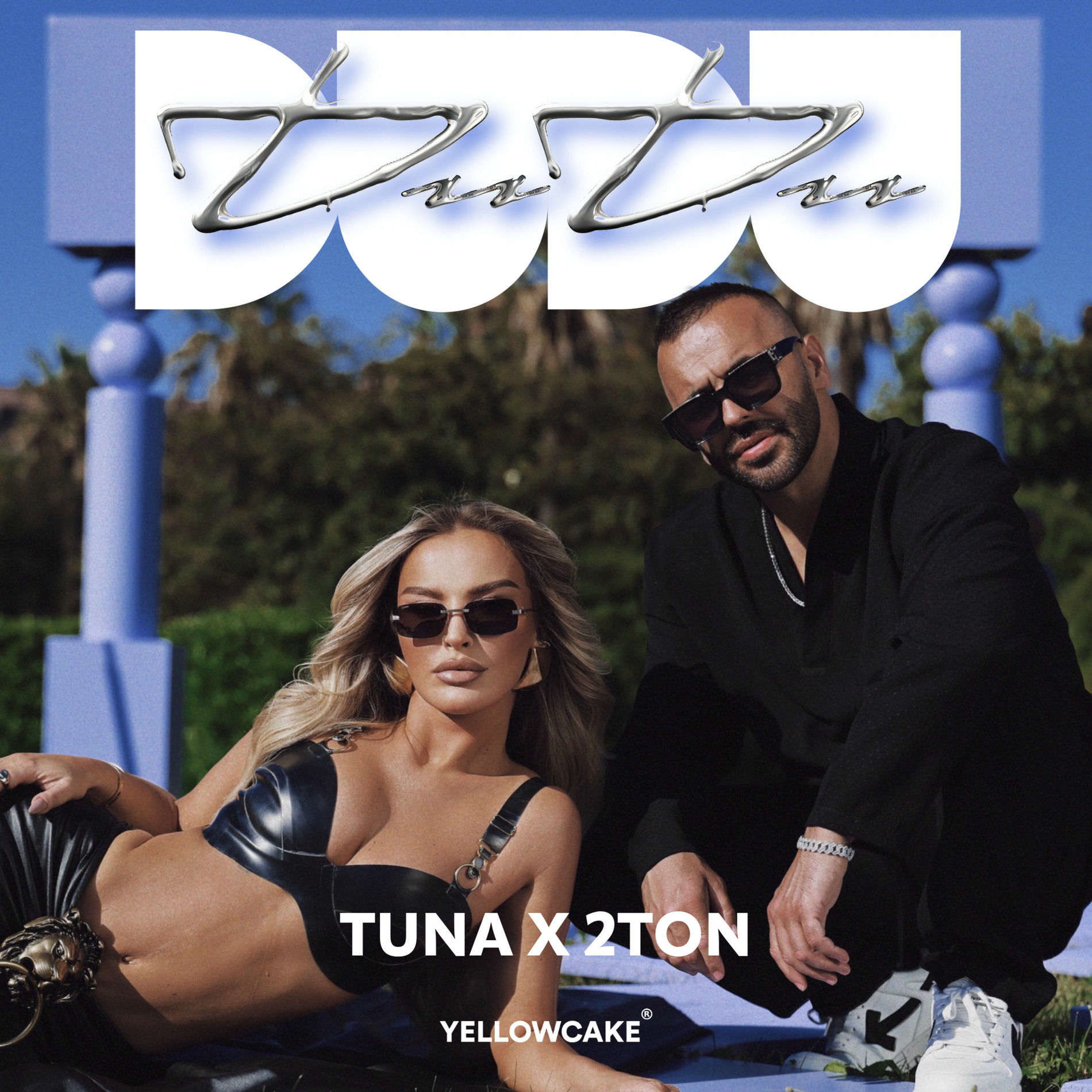Album cover of DuDu