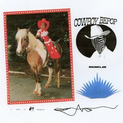 Cover of Cowboy Bepop