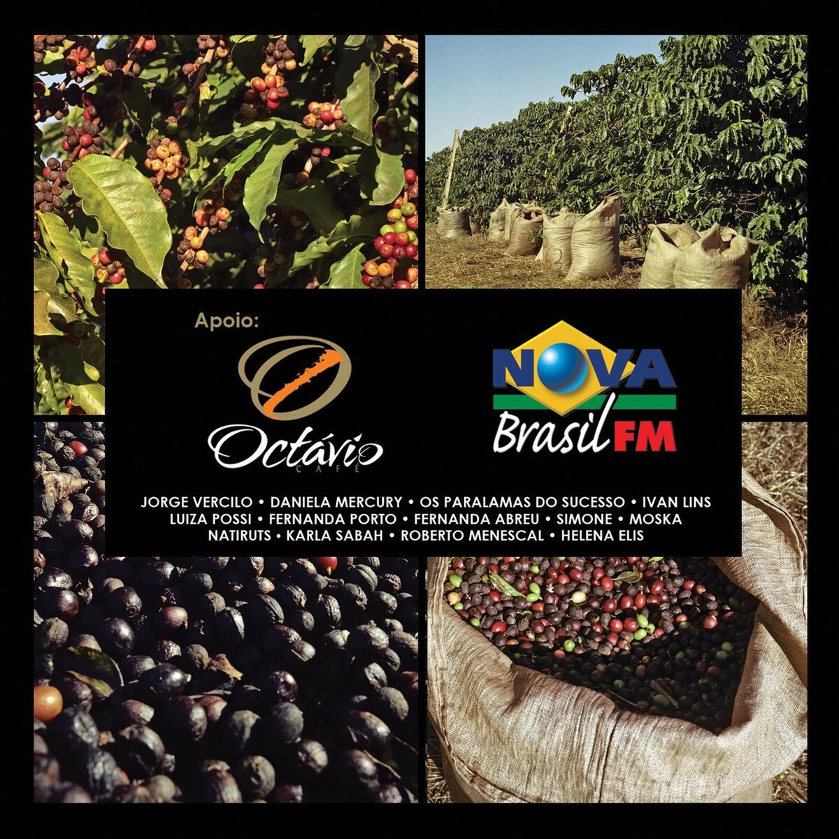 Album cover of Presente De Um Beija-Flor