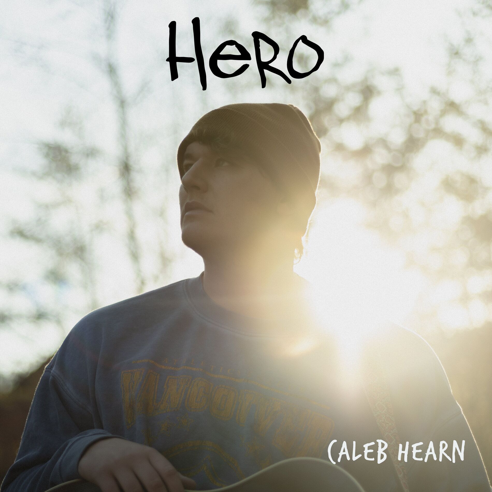 Album cover of Hero