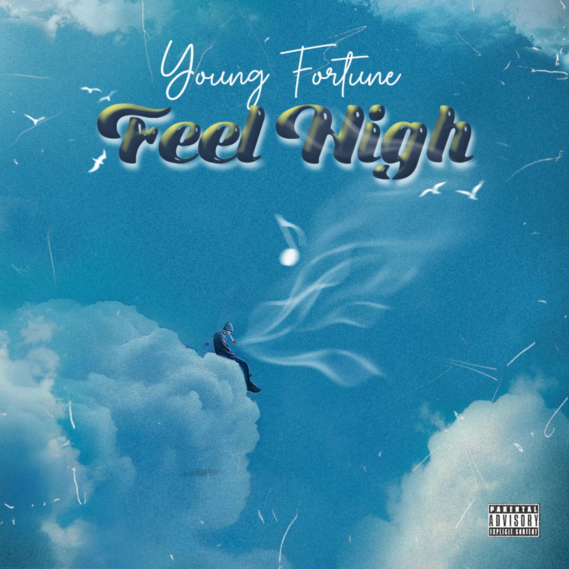 Album cover of Feel High