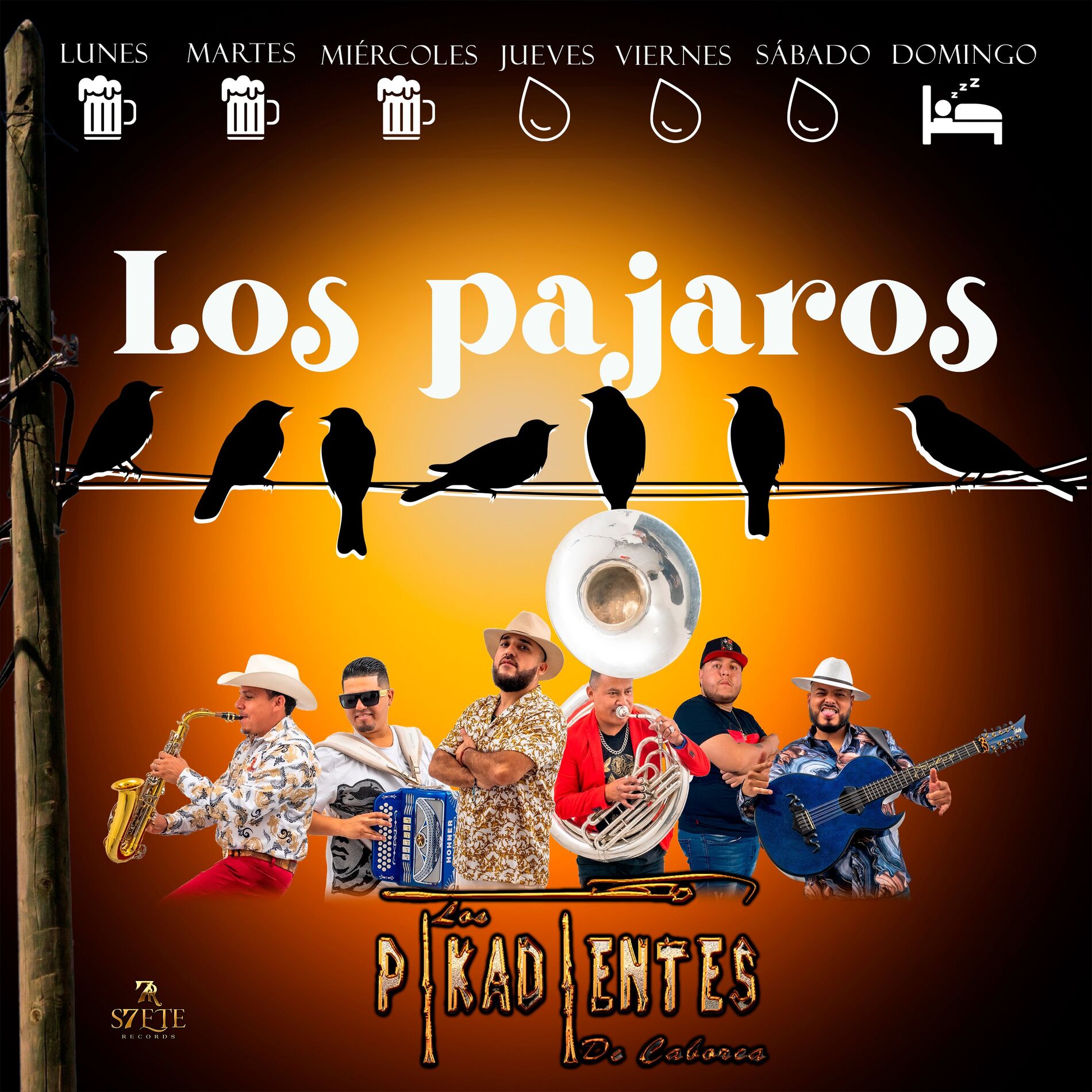 Album cover of Los Pajaros