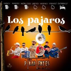 Cover of Los Pajaros