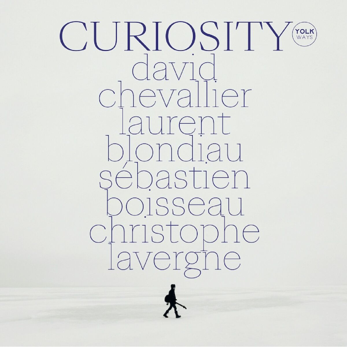 Album cover of Curiosity