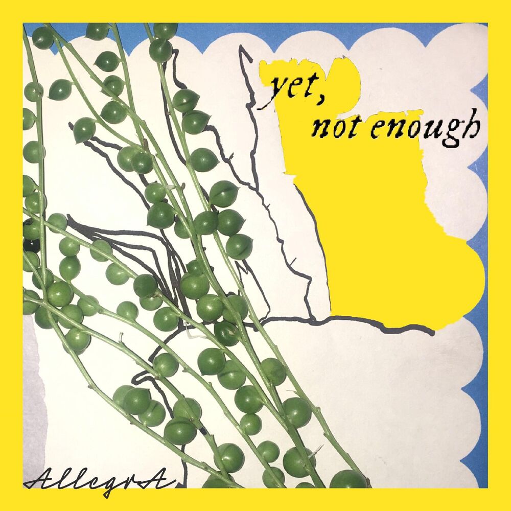 Picture of Yet, Not Enough
