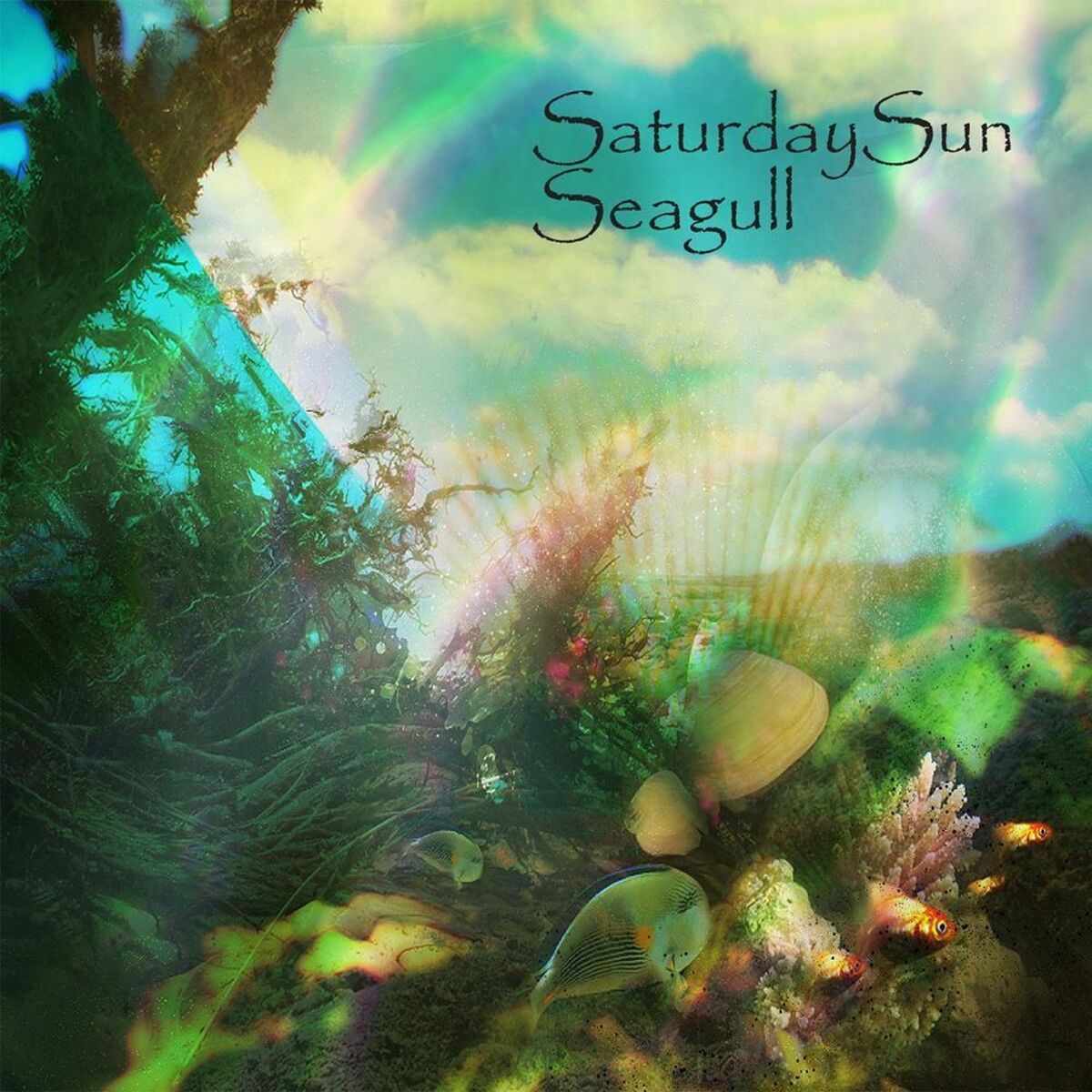 Album cover of Seagull