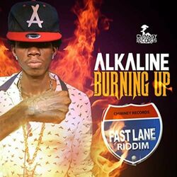 Cover of Burning Up