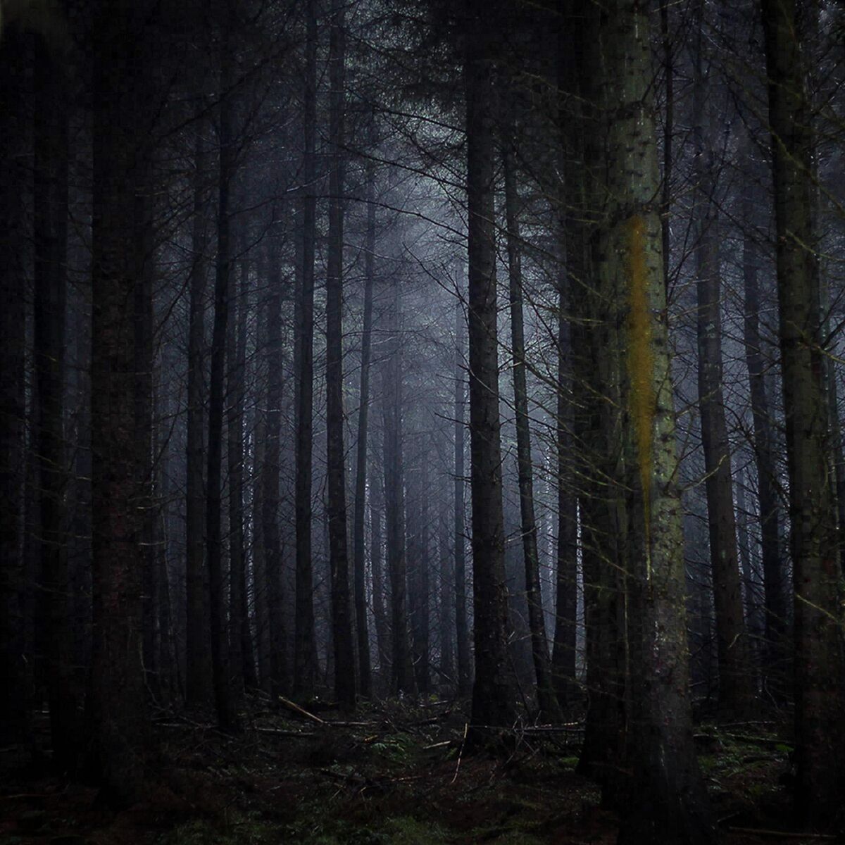 Album cover of Idèe Fixe