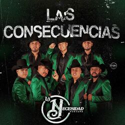 Cover of Las Consecuencias