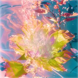 Cover of mother :;~ rebirth