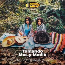 Cover of Tomando Mes y Medio