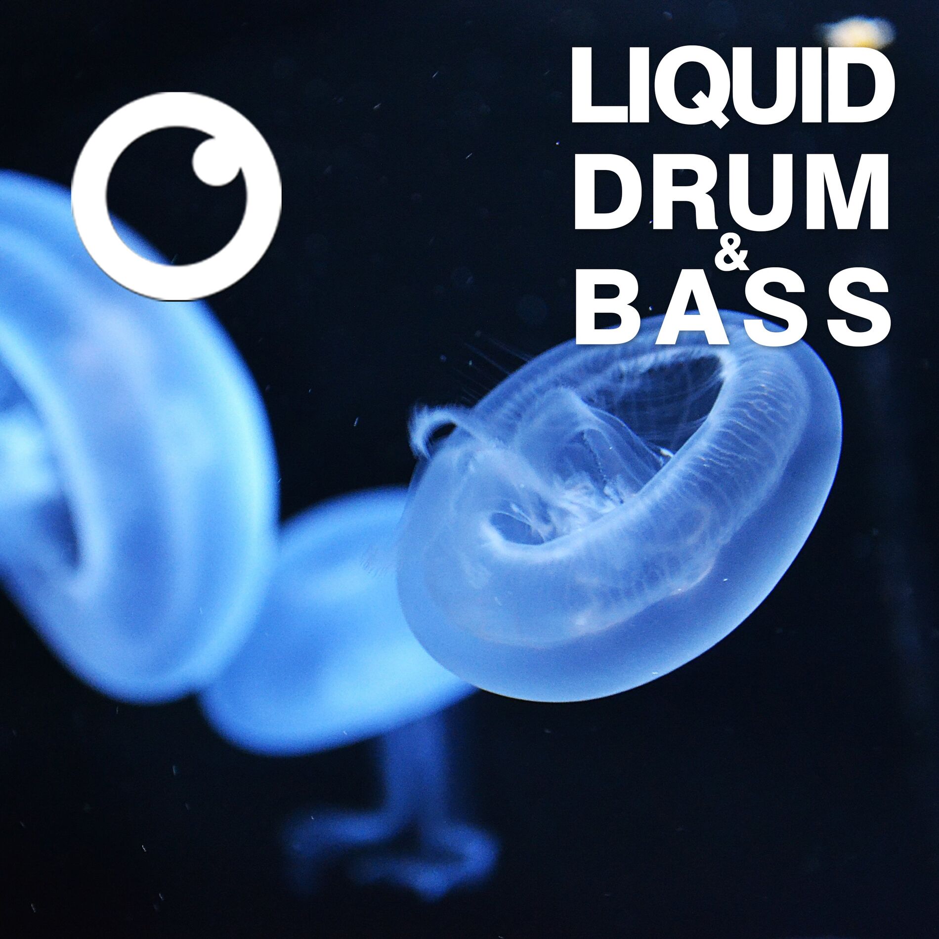 Album cover of Liquid Drum & Bass Sessions 2020 Vol 25