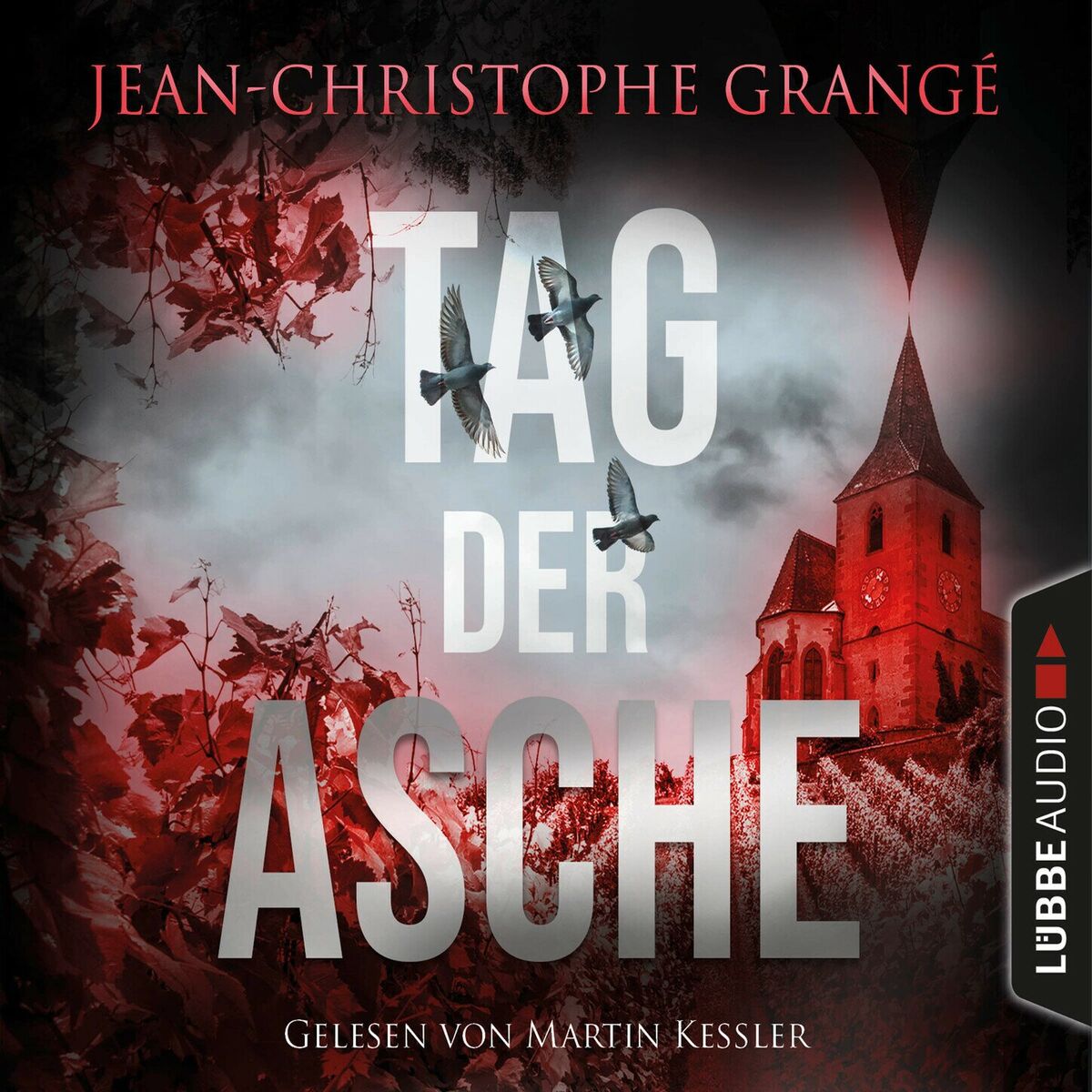 Album cover of Tag der Asche (Ungekürzt)