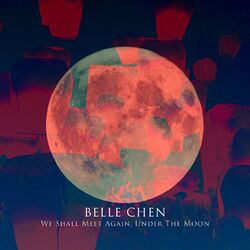 Cover of We Shall Meet Again, Under The Moon