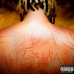 Cover of Felina