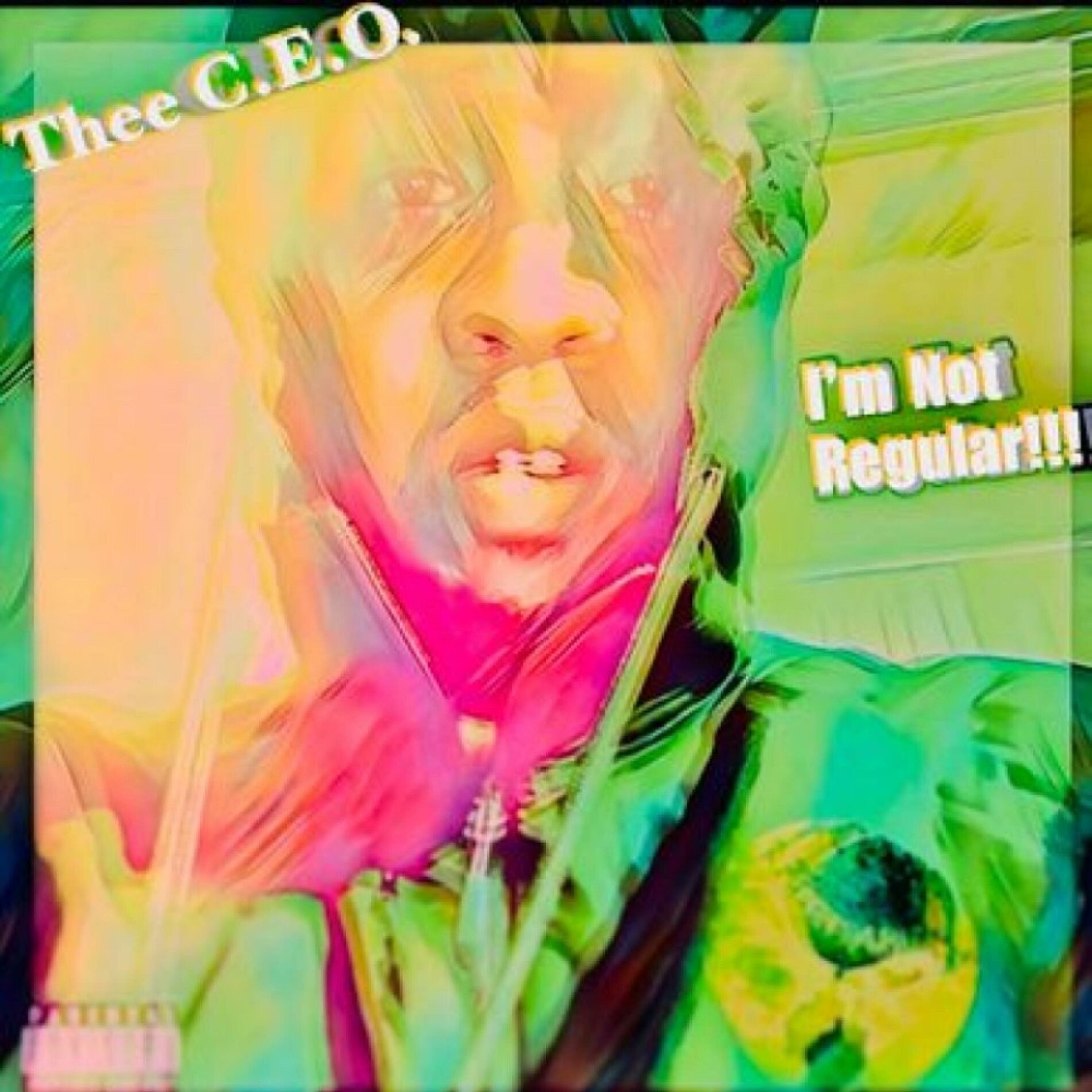 Album cover of I'M NOT REGULAR!!!