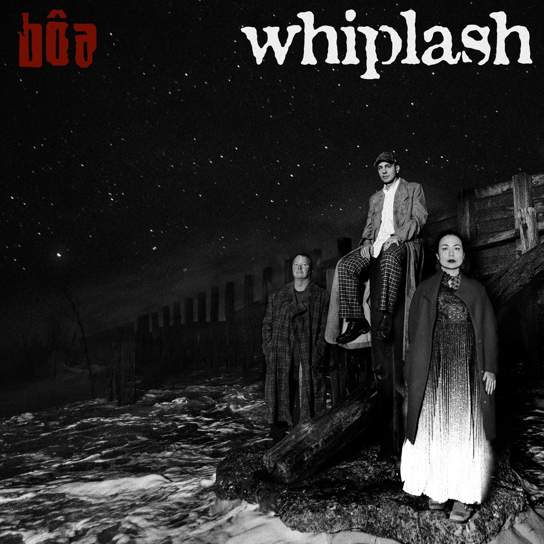 Album cover of Whiplash