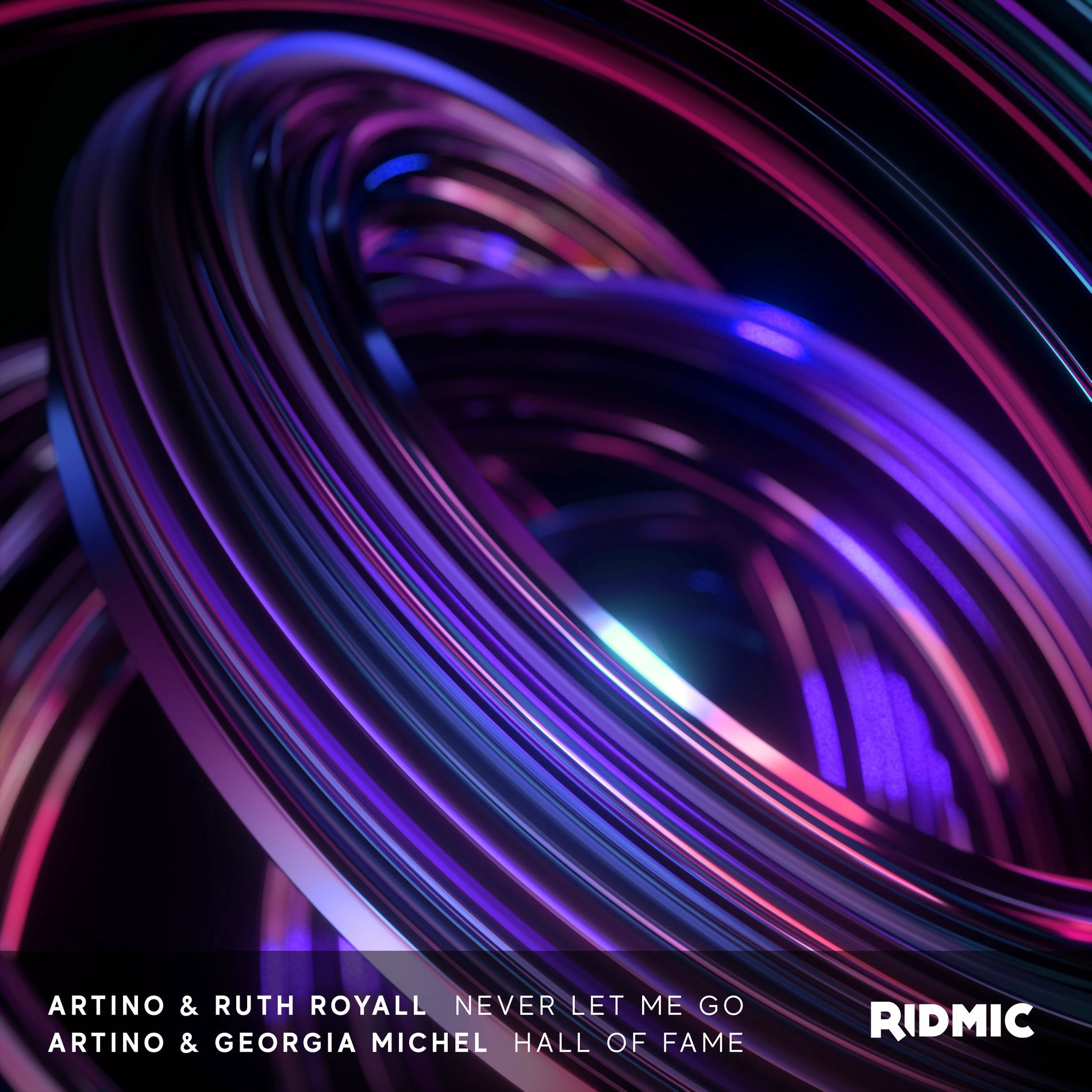 Album cover of Never Let Me Go / Hall Of Fame