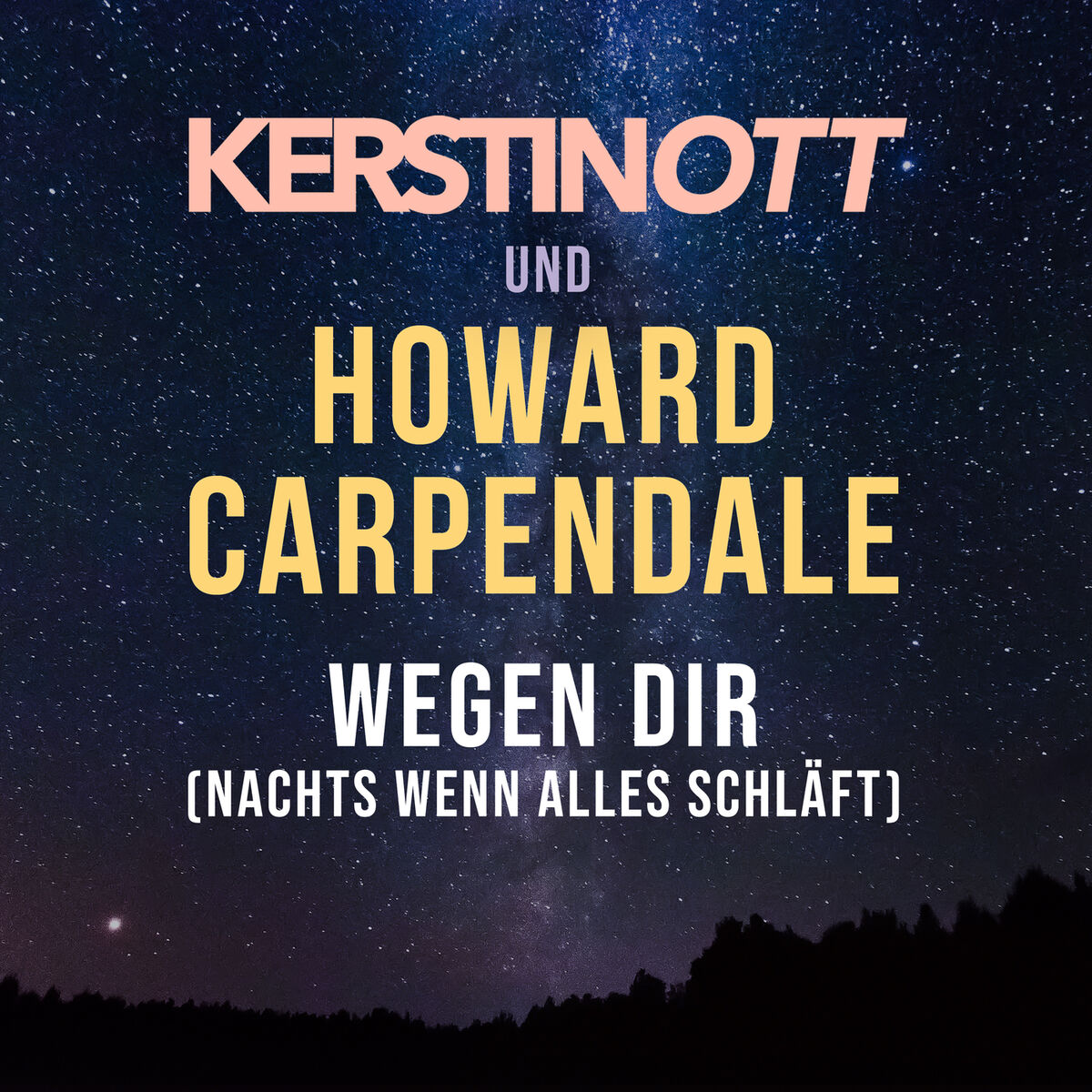 Album picture of Wegen Dir (Nachts wenn alles schläft)