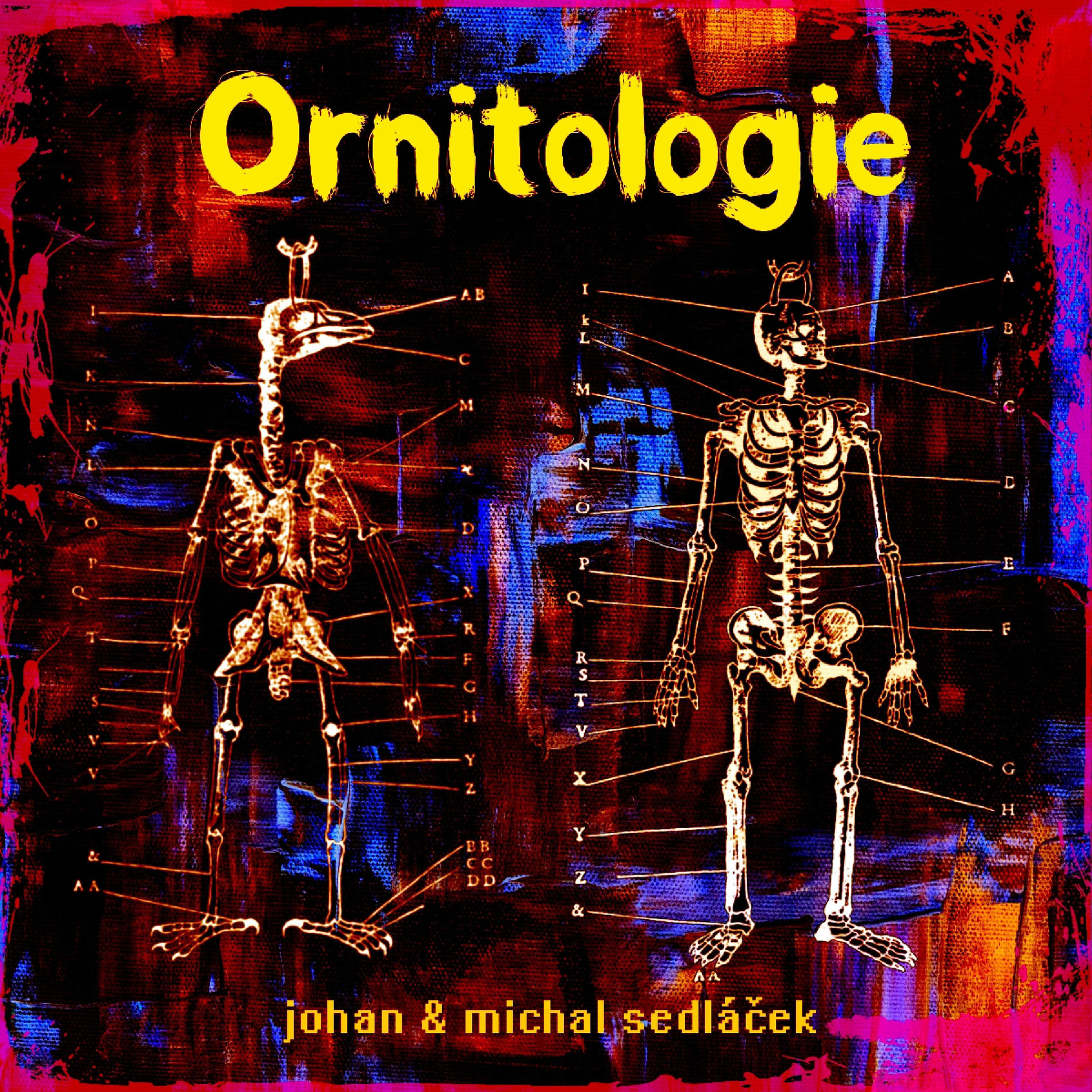 Album cover of Ornitologie