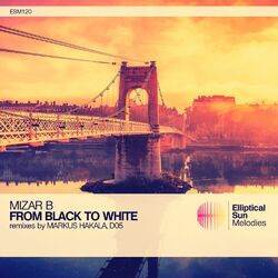 Cover of From Black To White