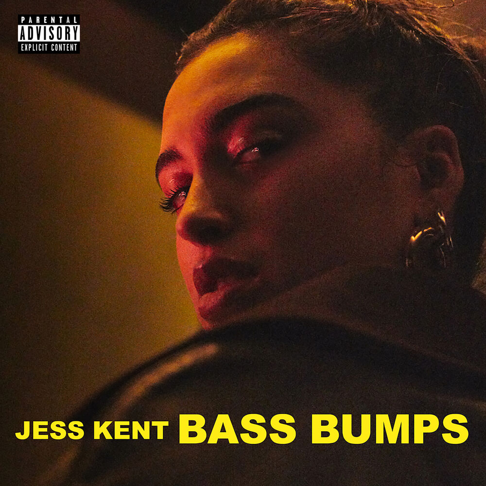 Picture of Bass Bumps