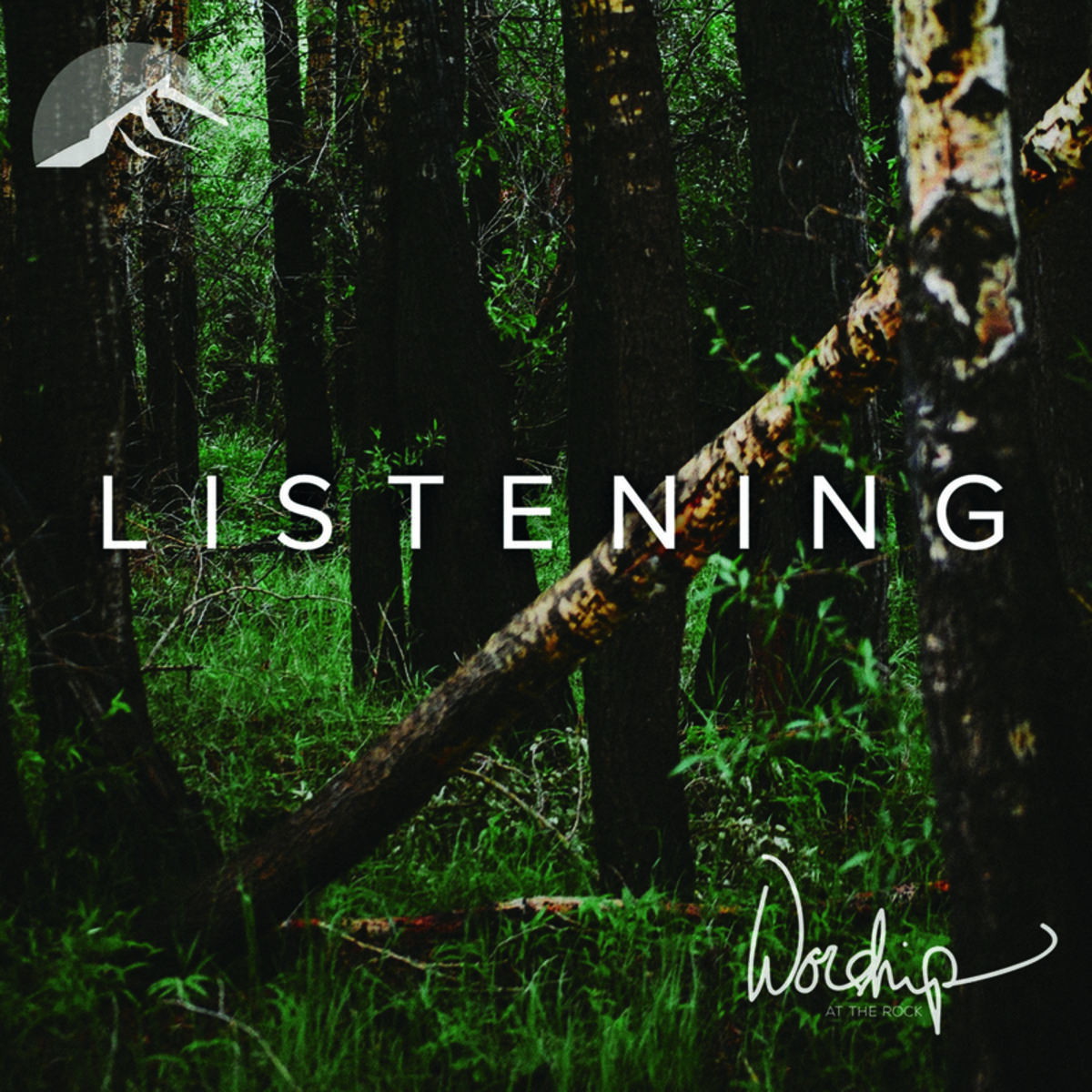 Album cover of Listening