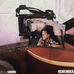 Cover of Remember