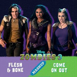 Cover of Flesh & Bone/Come on Out Mashup
