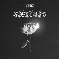 Feelings