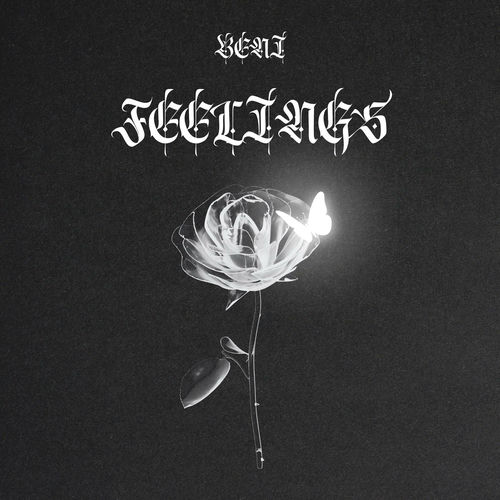 Feelings